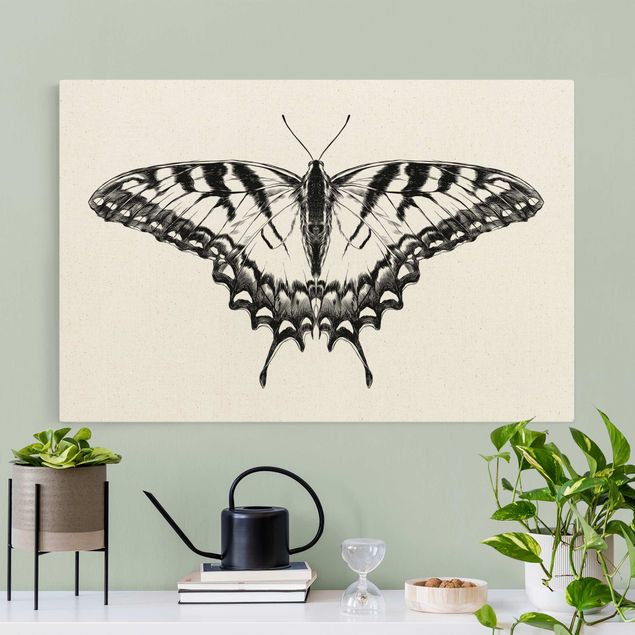 Quadri farfalle Illustrazione Coda di rondine volante nera