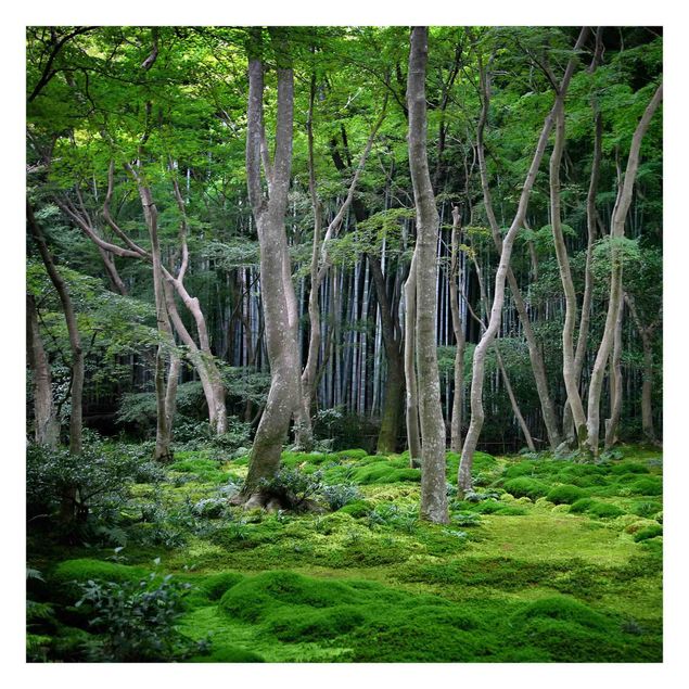 Carte da parati verde Foresta giapponese