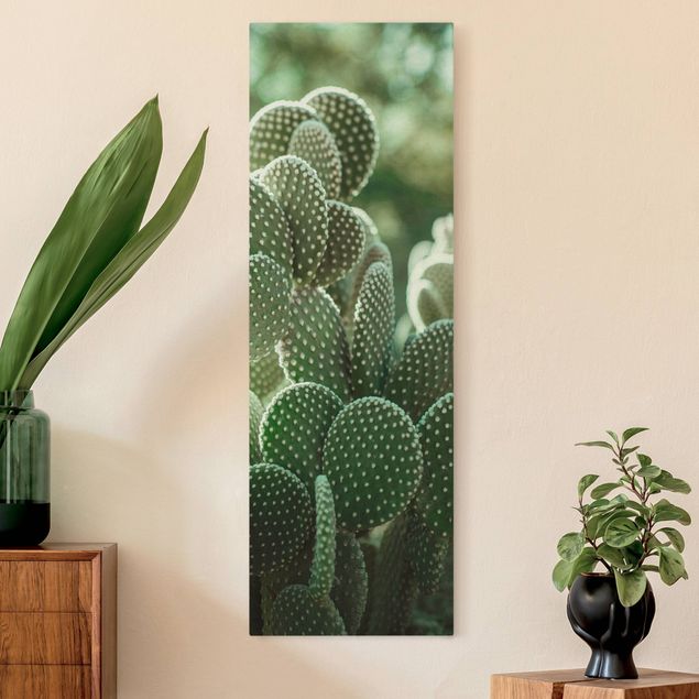 Quadri di fiori Cactus