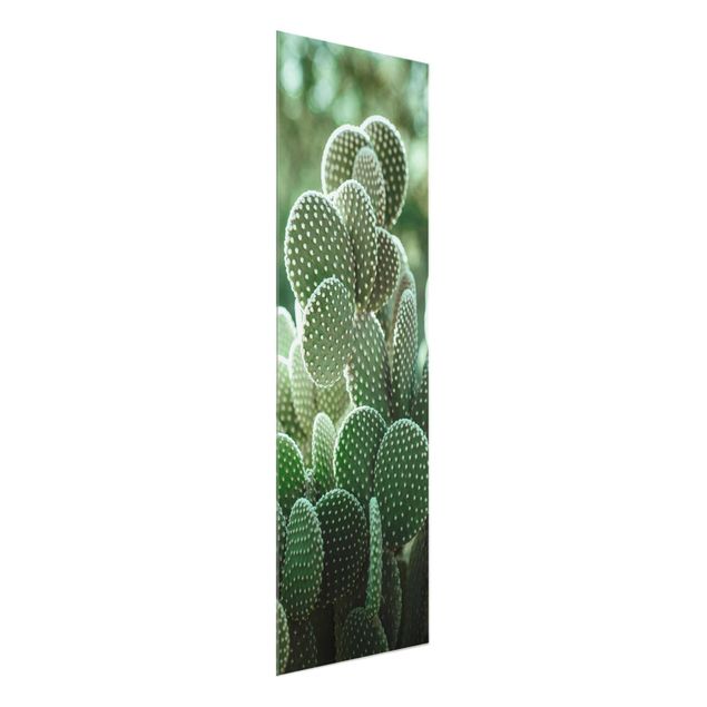 Quadro verde Cactus