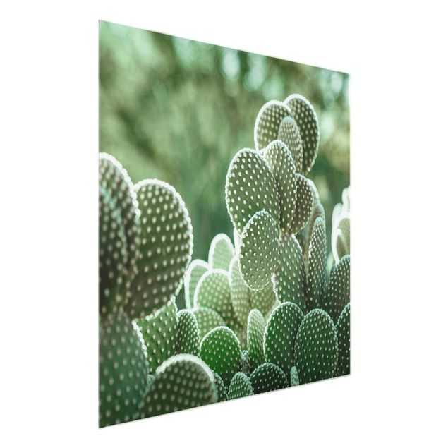 Quadro verde Cactus