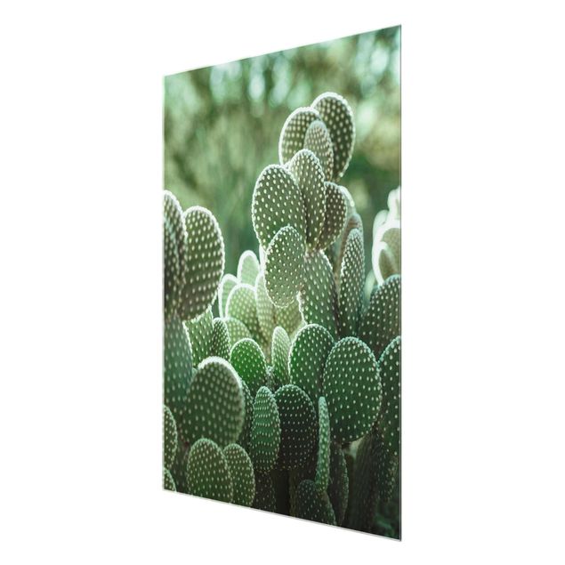 Magnettafel Glas Cactus