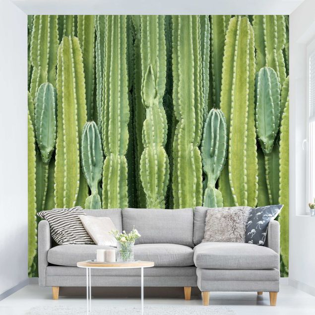 Carte da parati moderne Muro di cactus