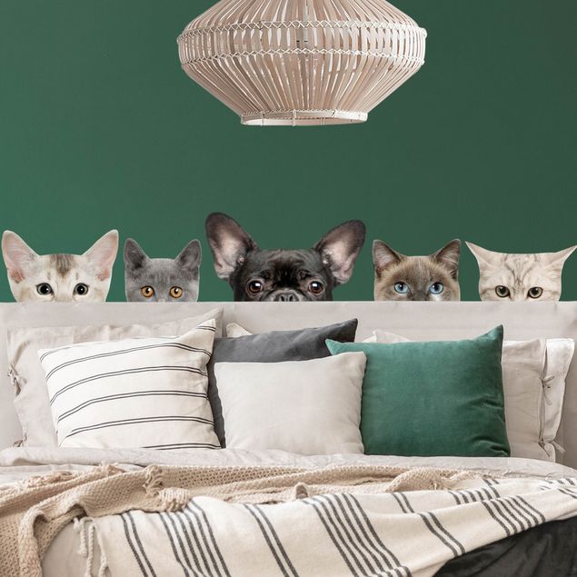 Adesivi murali gatto Gatti con occhi da cucciolo