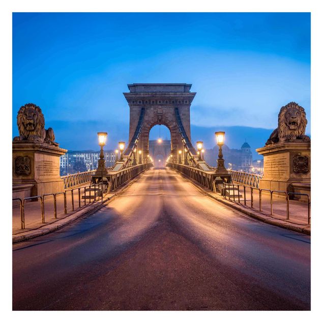 Carta da parati online Ponte delle catene a Budapest di notte