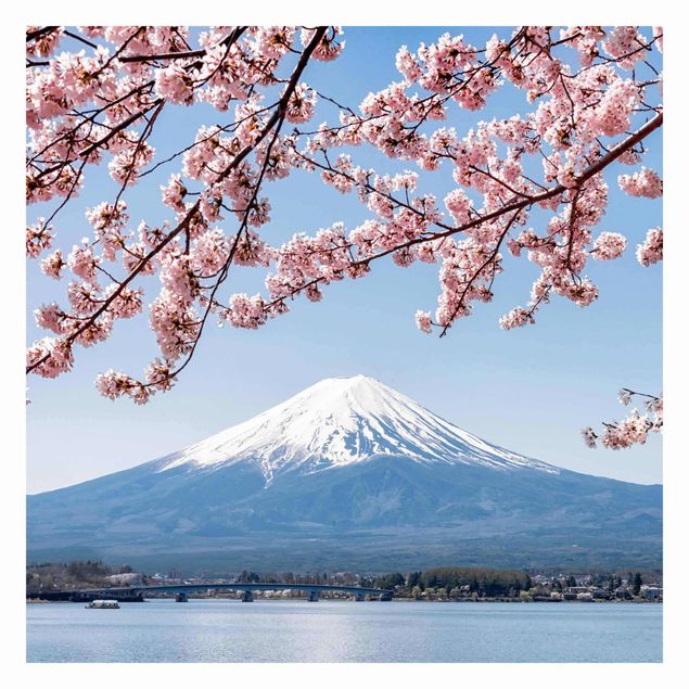 Carta da parati paesaggio Fioriture di ciliegio con il monte Fuji