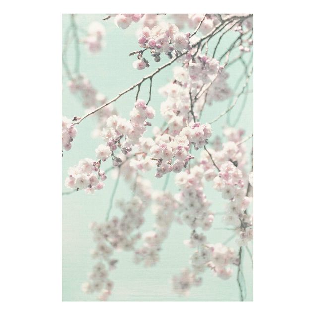 Stampe Danza di fiori di ciliegio su struttura di lino