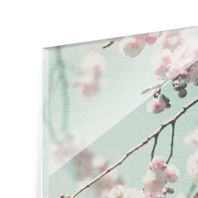 Quadro in vetro - Danza di fiori di ciliegio su struttura di lino