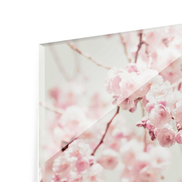 Quadro in vetro - Danza di fiori di ciliegio
