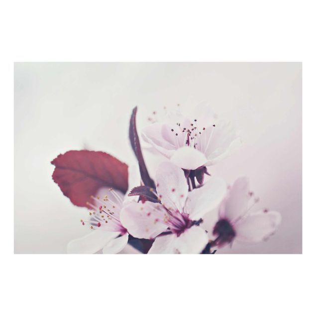 Quadri Monika Strigel Ramo di fiori di ciliegio in rosa antico