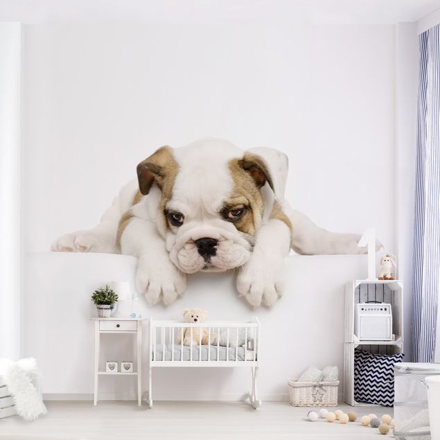 Decorazioni camera neonato Piccolo Bulldog