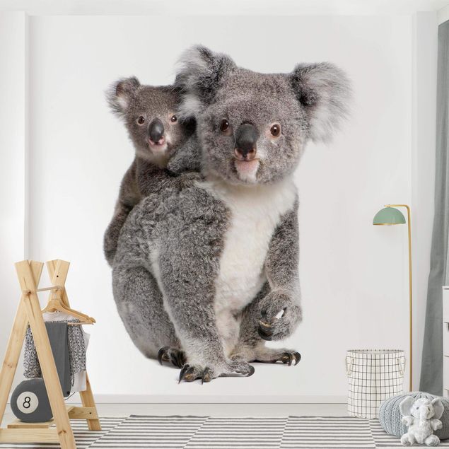 Carta parati adesiva Orsi Koala