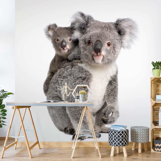 Decorazioni camera bambini Orsi Koala