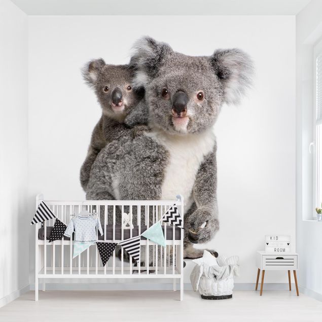 Carta parati tnt Orsi Koala
