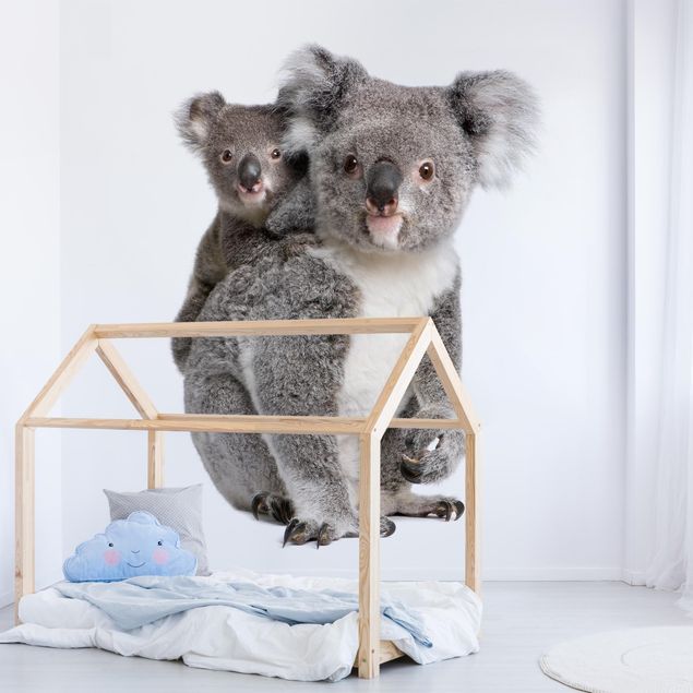 Carta da parati moderne Orsi Koala