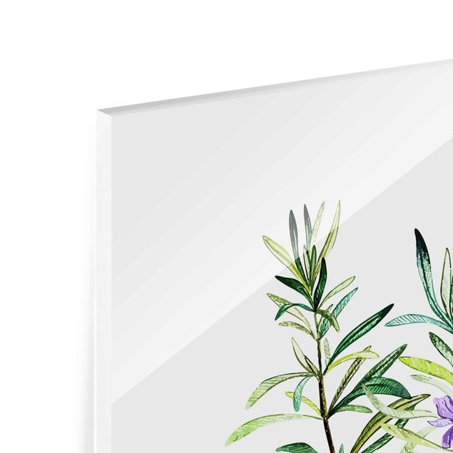 Glas Magnetboard Illustrazione di erbe Rosmarino