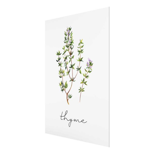 Magnettafel Glas Illustrazione di erbe aromatiche Timo