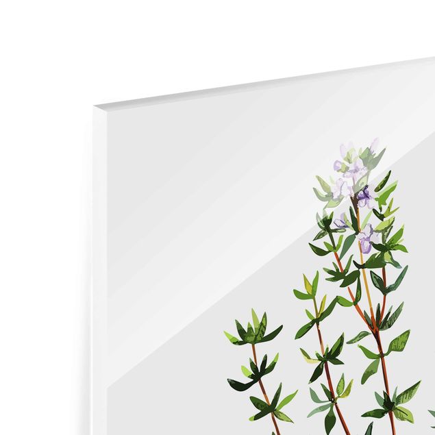 Quadro in vetro - Illustrazione di erbe aromatiche timo