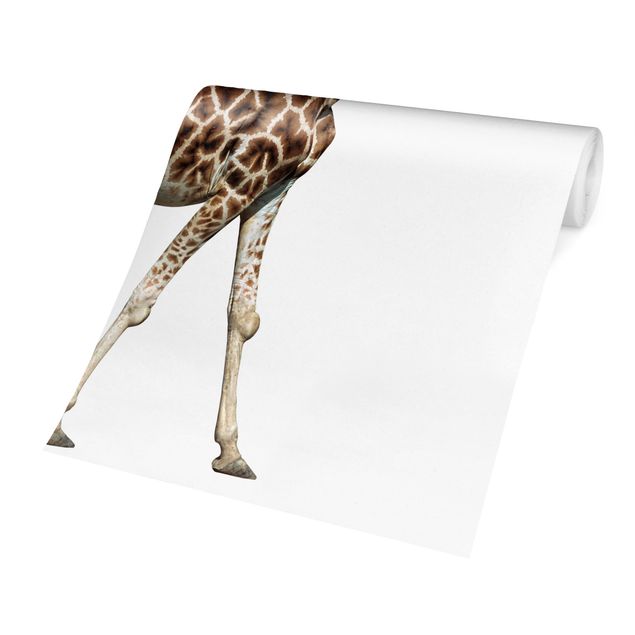 Carta da parati moderna Giraffa in corsa