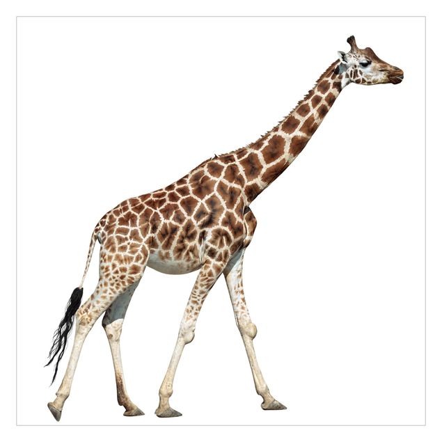 Carta da parati animali Giraffa in corsa