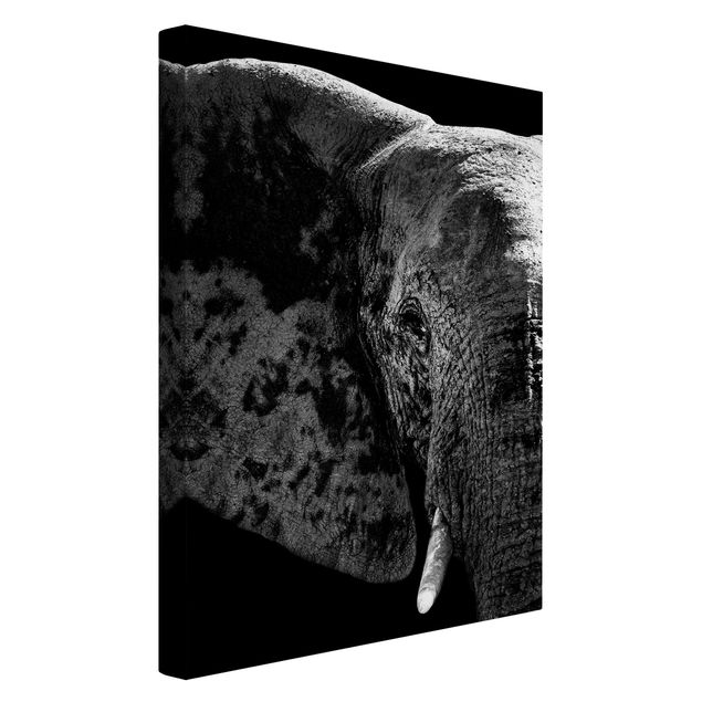 Quadri su tela Africa Elefante africano in bianco e nero