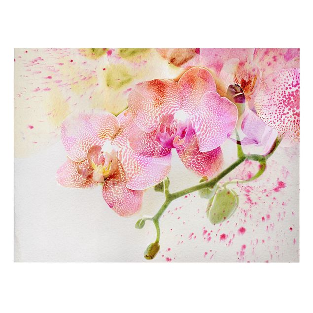 Quadro floreale Fiori ad acquerello Orchidee