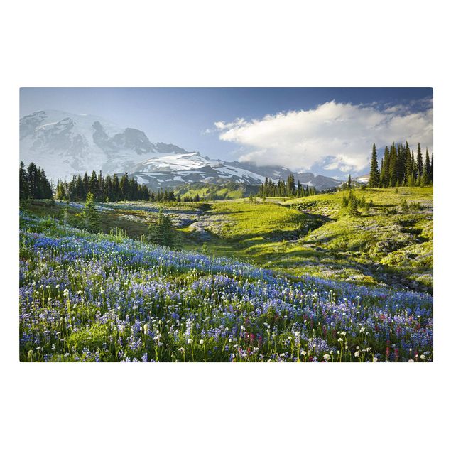 Quadri montagne Prato di montagna con fiori blu davanti al monte Rainier
