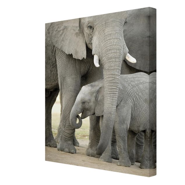 Quadri su tela animali Elefante e amore