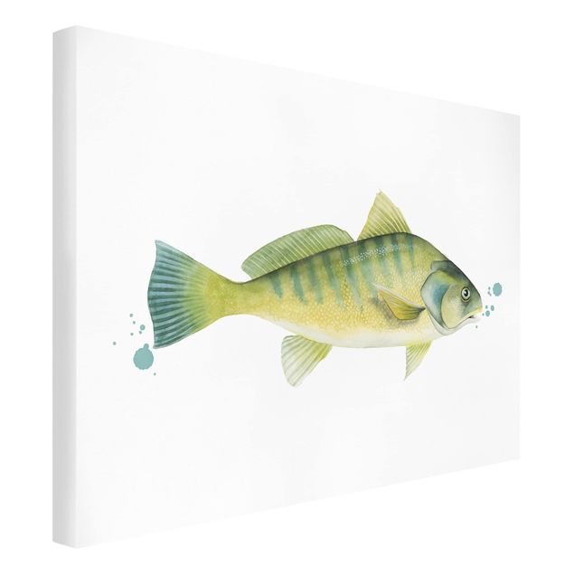 Quadri con animali Colore Cattura - Pesce persico