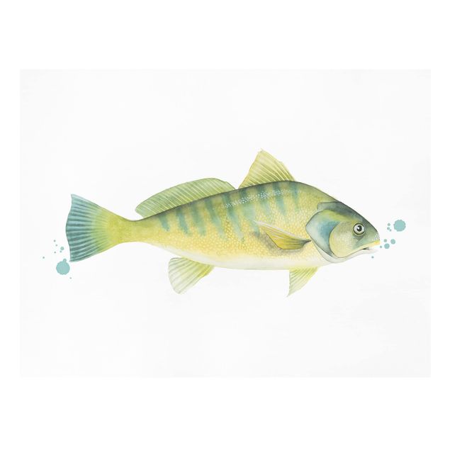 Quadro su tela animali Colore Cattura - Pesce persico