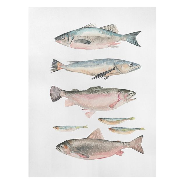 Stampe su tela animali Sette pesci in acquerello I