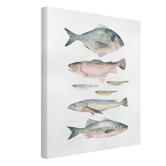 Quadri animali Sette pesci in acquerello II