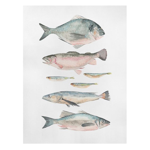 Quadri su tela animali Sette pesci in acquerello II