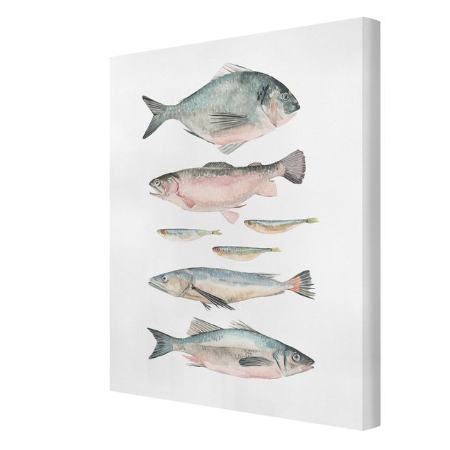 Stampe Sette pesci in acquerello II