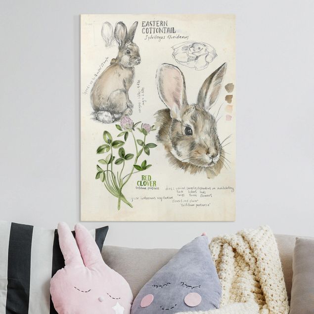 Quadri fiori Diario della natura selvaggia - Coniglio