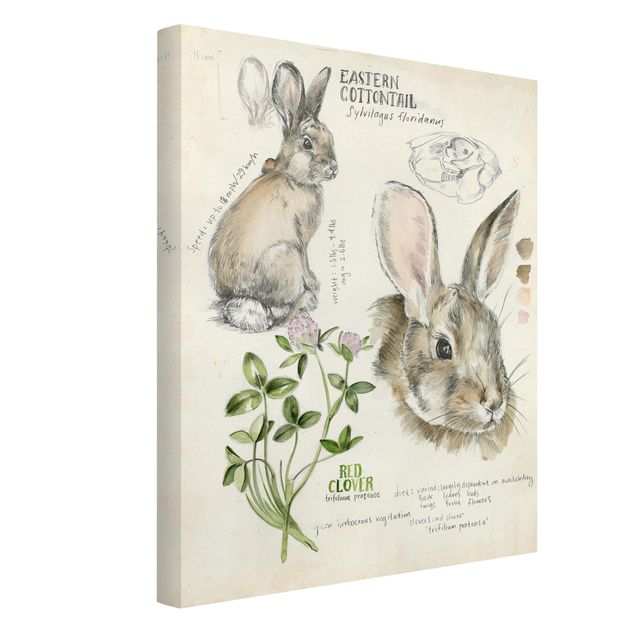 Quadri marroni Diario della natura selvaggia - Coniglio