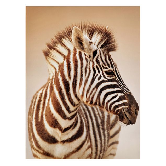Quadri con animali Ritratto di piccola zebra