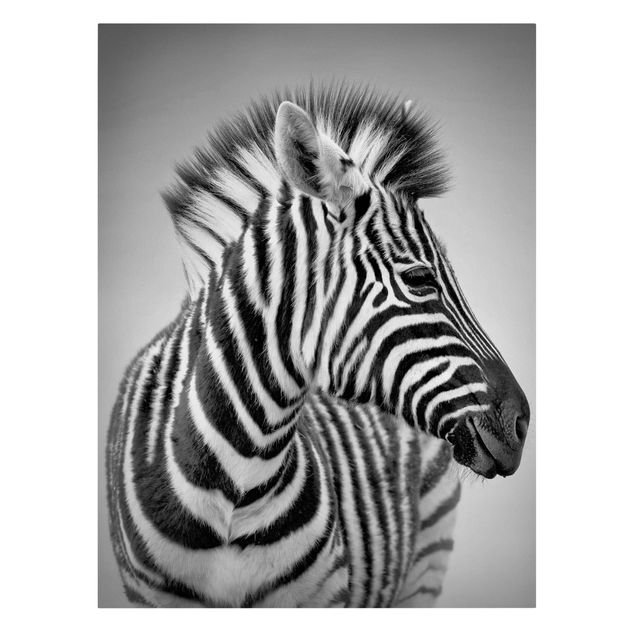 Quadri in bianco e nero Ritratto di piccola zebra II