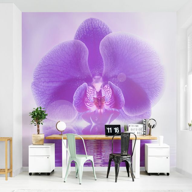 Carte da parati moderne Orchidea viola sull'acqua