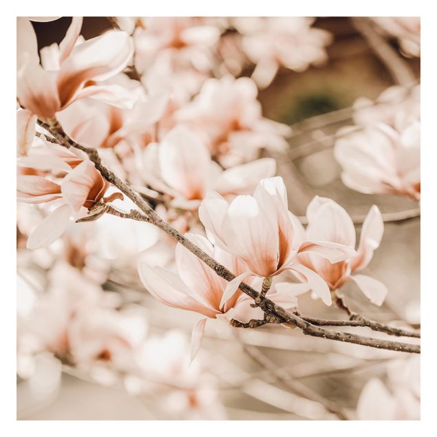 Carta da parati con paesaggi Ramoscello di magnolia in stile vintage