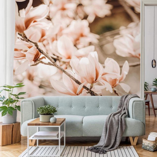 Carta parati adesiva Ramoscello di magnolia in stile vintage