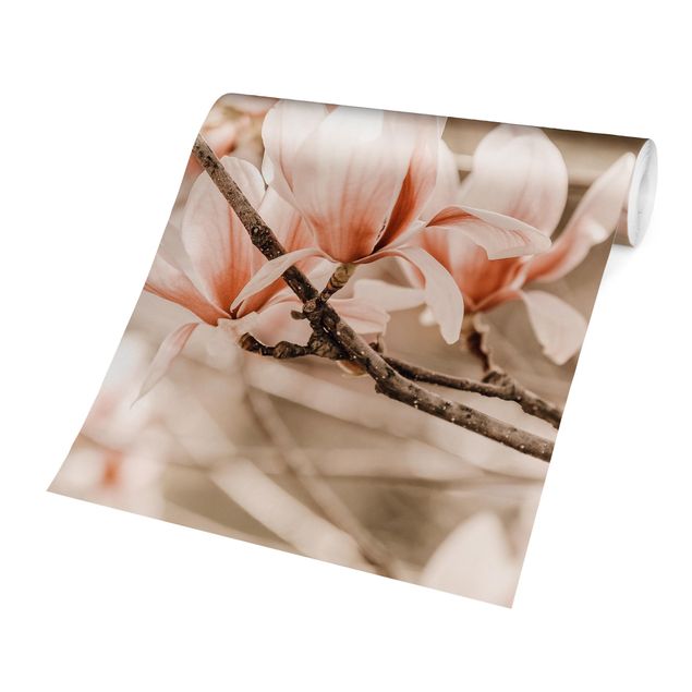 Carta parati vintage Ramoscello di magnolia in stile vintage