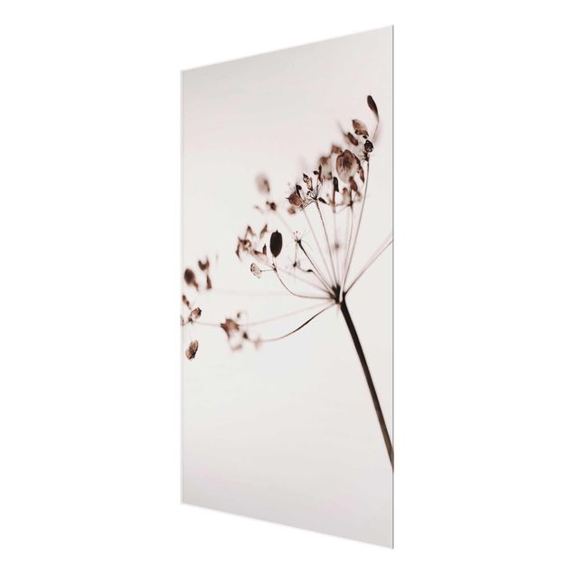 Glas Magnetboard Macro immagine fiori secchi in ombra