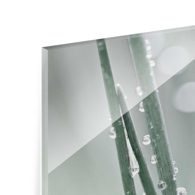 Glas Magnetboard Macro immagine perle d'acqua sull'erba