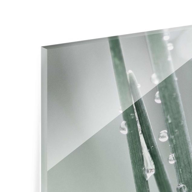 Glas Magnetboard Macro immagine perle d'acqua sull'erba