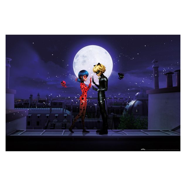 Miraculous Miraculous Ladybug e Chat Noir al chiaro di luna