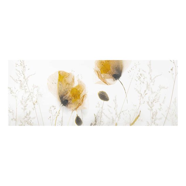 Quadri fiori Fiori di papavero ed erbe delicate in una nebbia soffice
