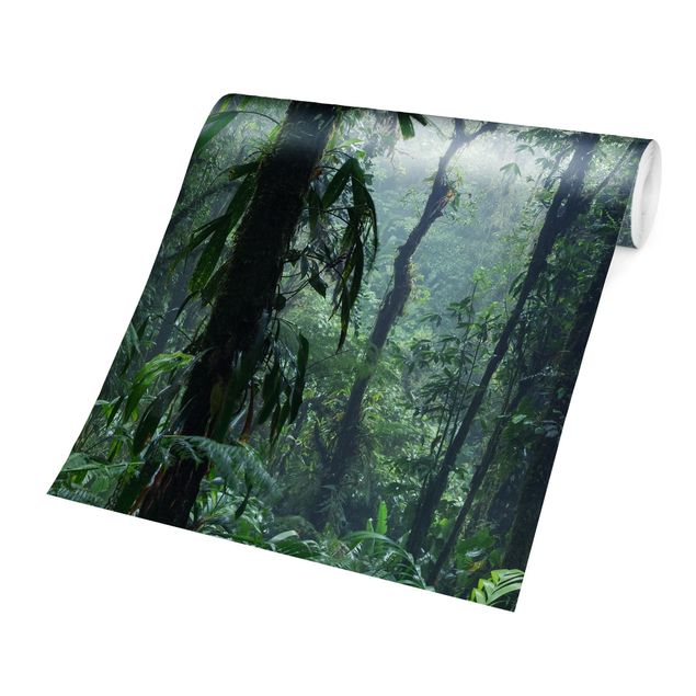 Carta da parati paesaggio Foresta nuvolosa di Monteverde