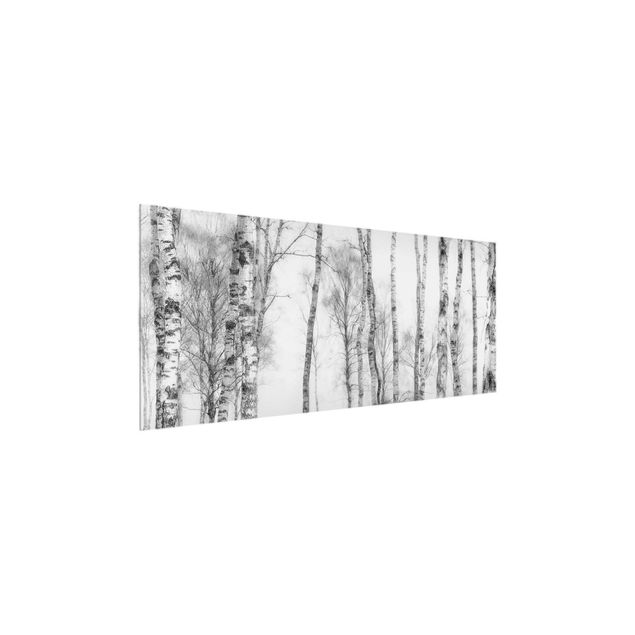 Quadri in vetro con paesaggio Foresta di betulle mistica in bianco e nero