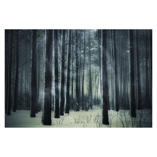 Carte da parati paesaggio Foresta invernale mistica